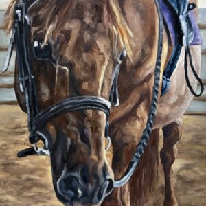 d9fac92e 40ff 4850 826f a18ab89e1ccc 1 201 a