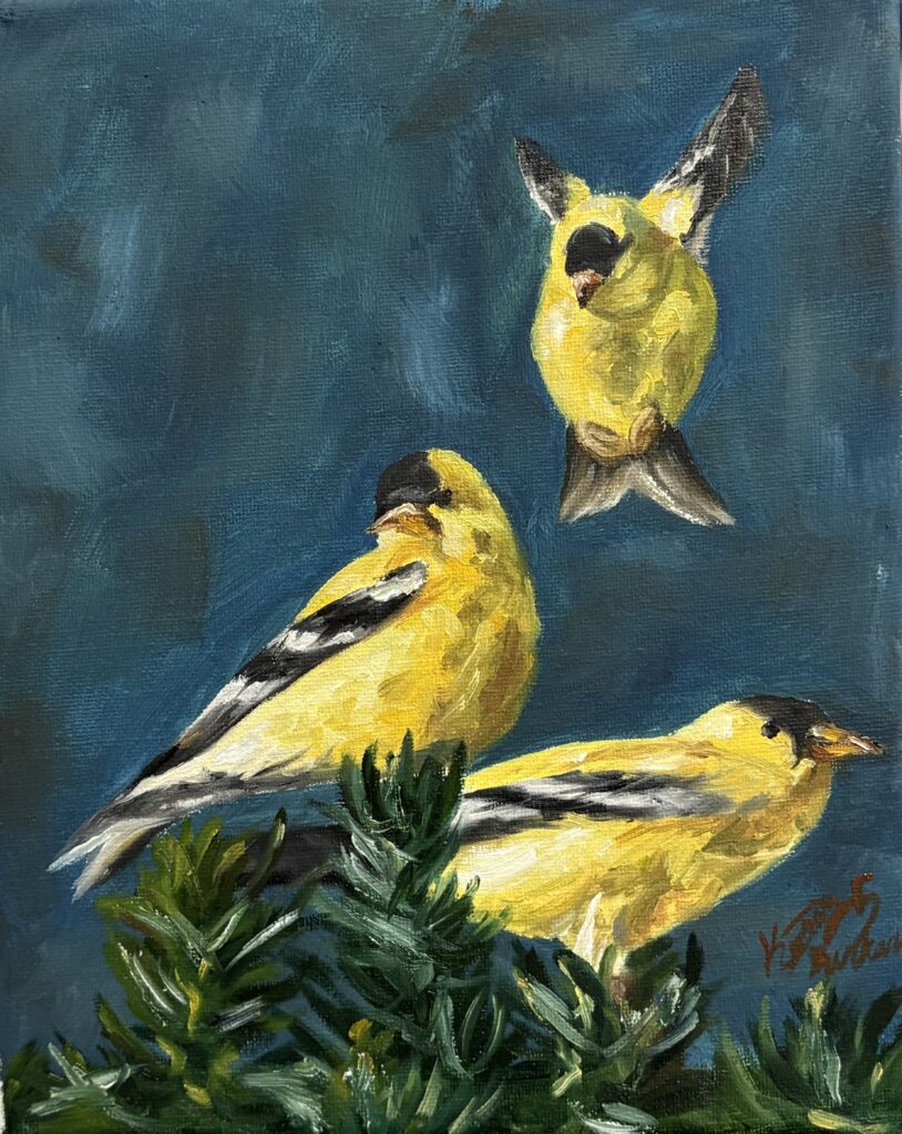 f62c6e41 2385 4d42 adc6 e9cff85b204e 1 201 a